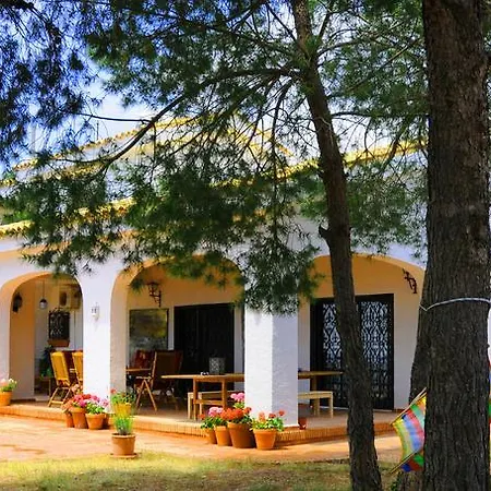 Casa Del Artista לינה וארוחת בוקר אלצ'ה